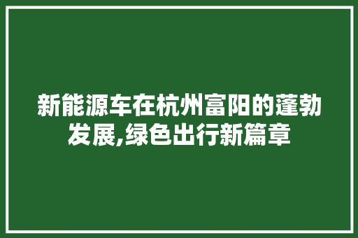 新能源车在杭州富阳的蓬勃发展,绿色出行新篇章