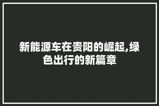 新能源车在贵阳的崛起,绿色出行的新篇章