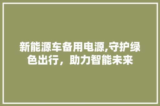 新能源车备用电源,守护绿色出行，助力智能未来