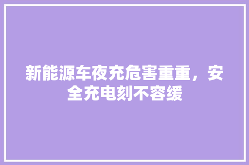 新能源车夜充危害重重，安全充电刻不容缓 汽车轮胎