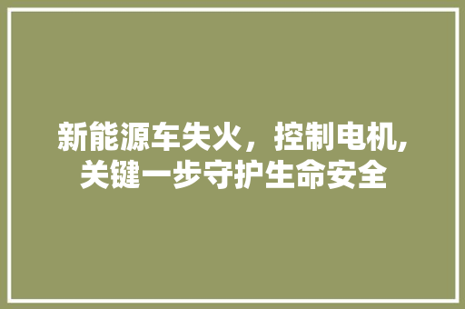 新能源车失火，控制电机,关键一步守护生命安全