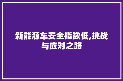 新能源车安全指数低,挑战与应对之路