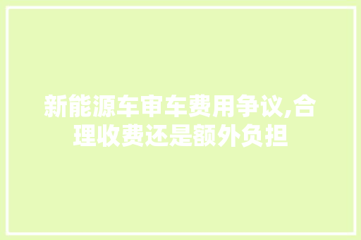 新能源车审车费用争议,合理收费还是额外负担