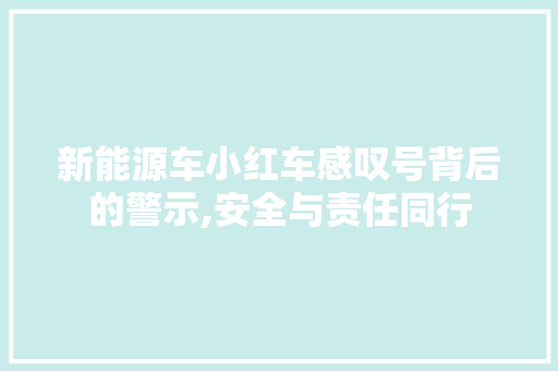新能源车小红车感叹号背后的警示,安全与责任同行 混合动力车
