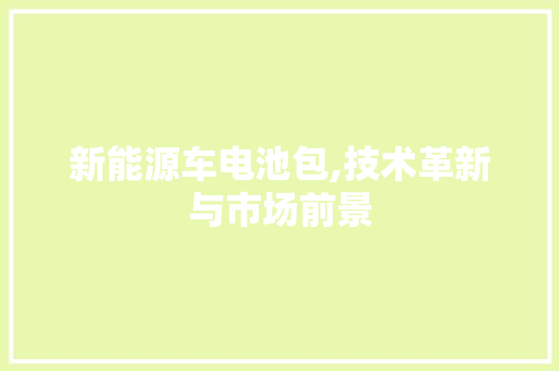 新能源车电池包,技术革新与市场前景