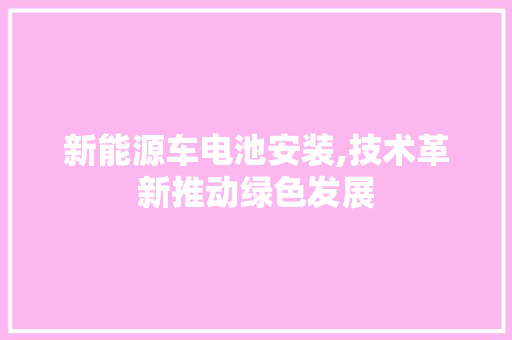 新能源车电池安装,技术革新推动绿色发展