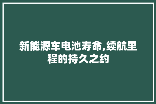 新能源车电池寿命,续航里程的持久之约