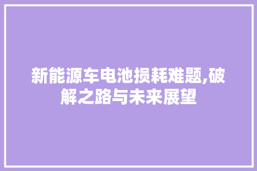 新能源车电池损耗难题,破解之路与未来展望