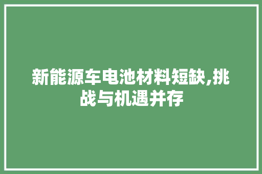 新能源车电池材料短缺,挑战与机遇并存