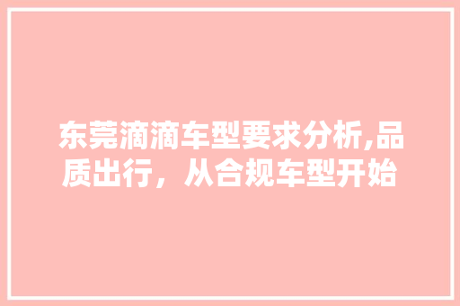 东莞滴滴车型要求分析,品质出行，从合规车型开始