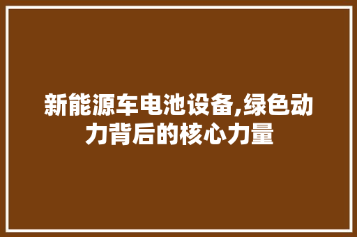 新能源车电池设备,绿色动力背后的核心力量