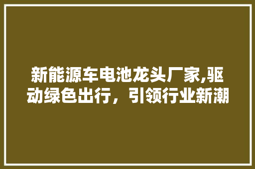 新能源车电池龙头厂家,驱动绿色出行，引领行业新潮流 自动驾驶