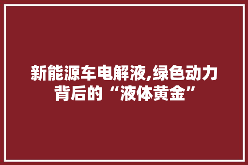 新能源车电解液,绿色动力背后的“液体黄金”