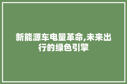 新能源车电量革命,未来出行的绿色引擎