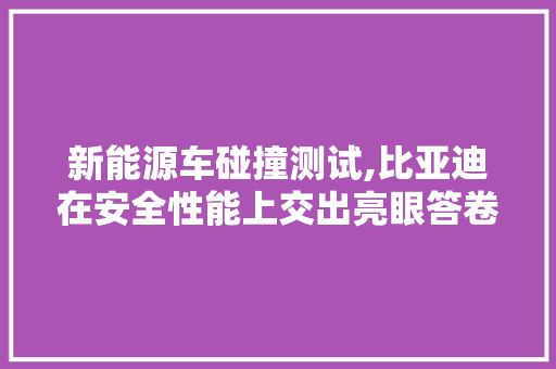新能源车碰撞测试,比亚迪在安全性能上交出亮眼答卷 车型评测