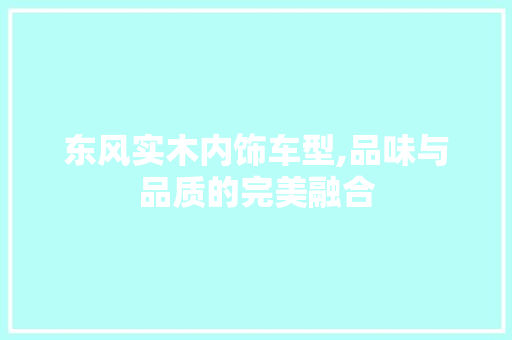 东风实木内饰车型,品味与品质的完美融合