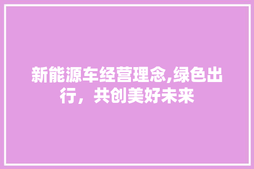 新能源车经营理念,绿色出行，共创美好未来