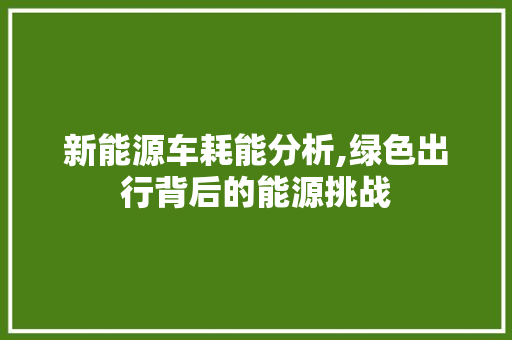 新能源车耗能分析,绿色出行背后的能源挑战