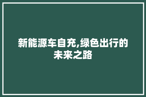 新能源车自充,绿色出行的未来之路