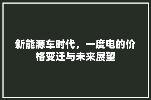 新能源车时代，一度电的价格变迁与未来展望 自动驾驶