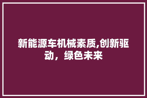 新能源车机械素质,创新驱动，绿色未来