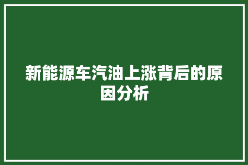 新能源车汽油上涨背后的原因分析