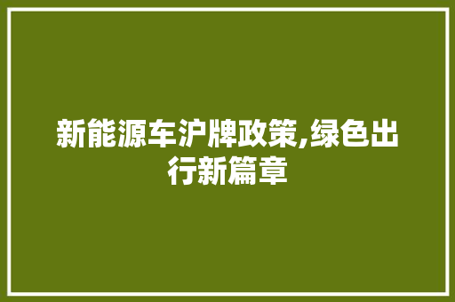 新能源车沪牌政策,绿色出行新篇章 车联网技术
