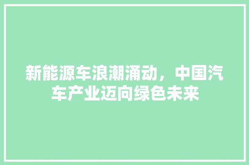 新能源车浪潮涌动，中国汽车产业迈向绿色未来