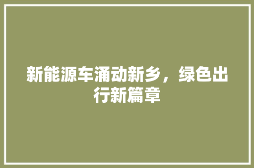 新能源车涌动新乡，绿色出行新篇章 混合动力车