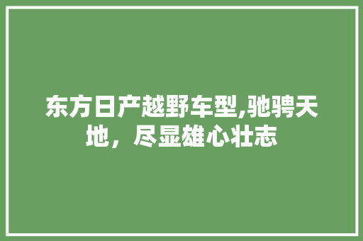 东方日产越野车型,驰骋天地，尽显雄心壮志