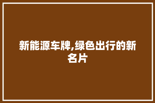 新能源车牌,绿色出行的新名片 车联网技术