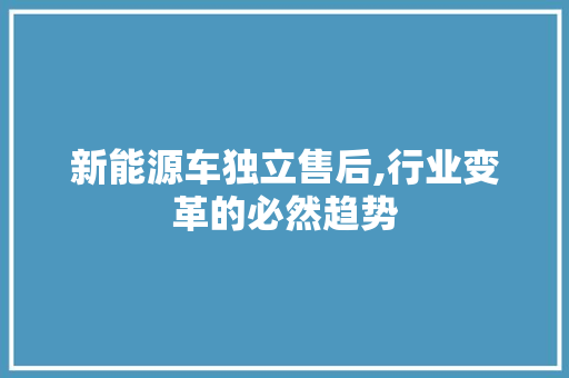新能源车独立售后,行业变革的必然趋势 车载导航