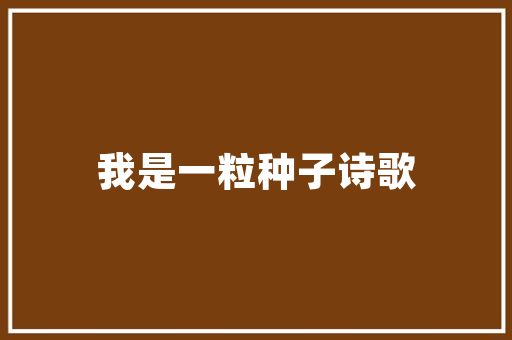 新能源车黑色车漆在夏日的魅力与挑战
