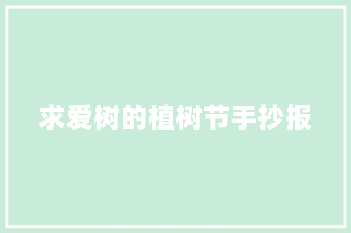 新能源领航者_介绍可以当床车的新能源汽车 车载导航