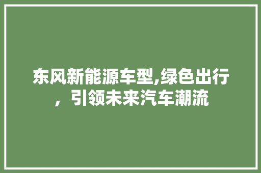 东风新能源车型,绿色出行，引领未来汽车潮流