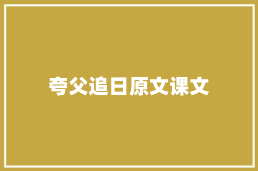 新能源车转手订单介绍,市场动态与未来趋势 车型评测