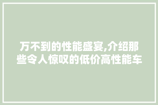 万不到的性能盛宴,介绍那些令人惊叹的低价高性能车型