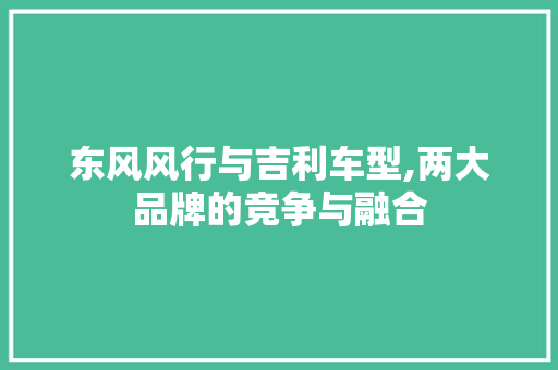 东风风行与吉利车型,两大品牌的竞争与融合