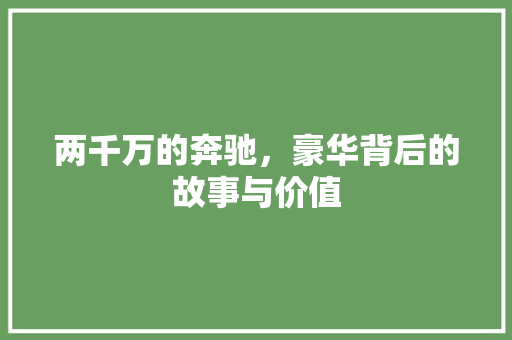 两千万的奔驰，豪华背后的故事与价值