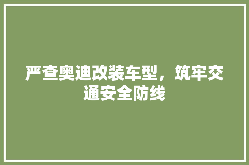 严查奥迪改装车型，筑牢交通安全防线