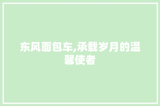 东风面包车,承载岁月的温馨使者