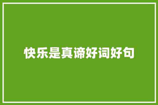 智能导航，新能源汽车车距判断软件引领行车安全新篇章
