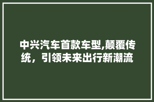 中兴汽车首款车型,颠覆传统，引领未来出行新潮流