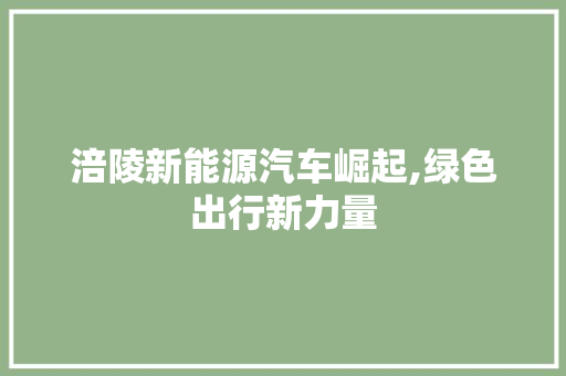 涪陵新能源汽车崛起,绿色出行新力量 车载导航