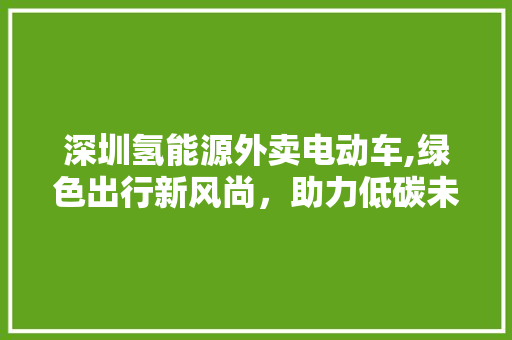 深圳氢能源外卖电动车,绿色出行新风尚，助力低碳未来