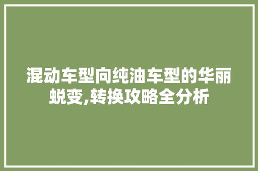 混动车型向纯油车型的华丽蜕变,转换攻略全分析