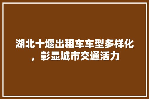 湖北十堰出租车车型多样化，彰显城市交通活力