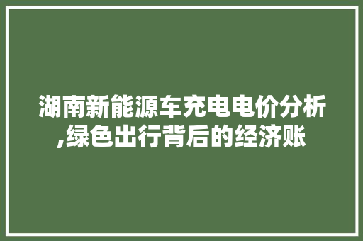 湖南新能源车充电电价分析,绿色出行背后的经济账 新能源汽车