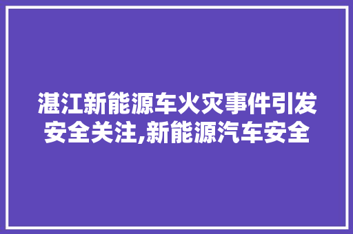 湛江新能源车火灾事件引发安全关注,新能源汽车安全需重视 汽车轮胎