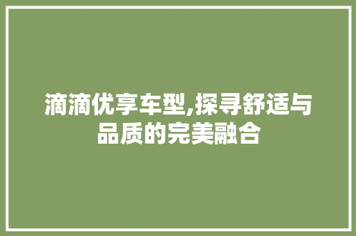 滴滴优享车型,探寻舒适与品质的完美融合